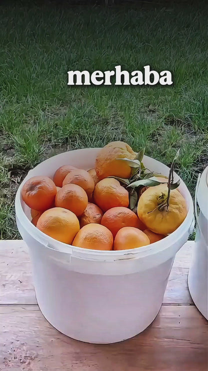 Ev Yapımı Doğal Reçel Çeşitleri (900gr)
